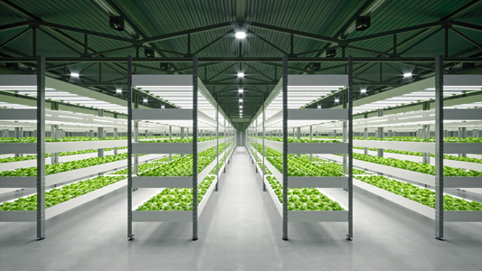 Vertical Farming